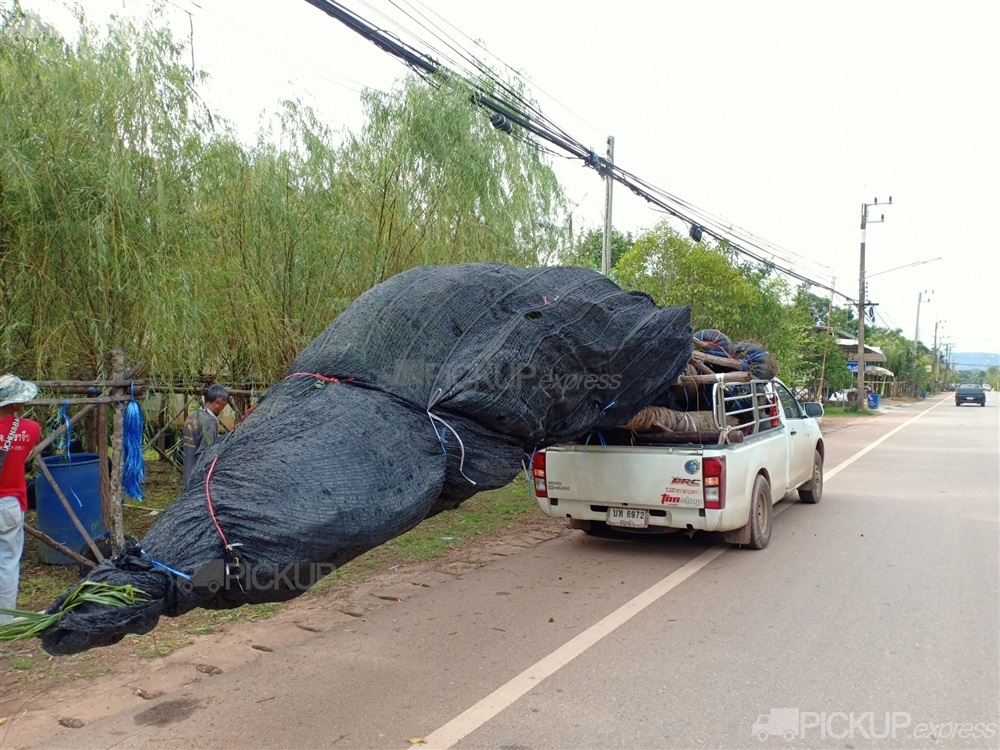 คลิกเพื่อดูรูปภาพขนาดใหญ่ - รูป 10353